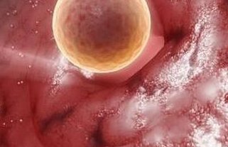 江门试管婴儿哪个医院较好？